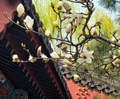 【財(cái)經(jīng)觀察】 春日經(jīng)濟(jì)活力迸發(fā) “花”樣經(jīng)濟(jì)孕育新動(dòng)能