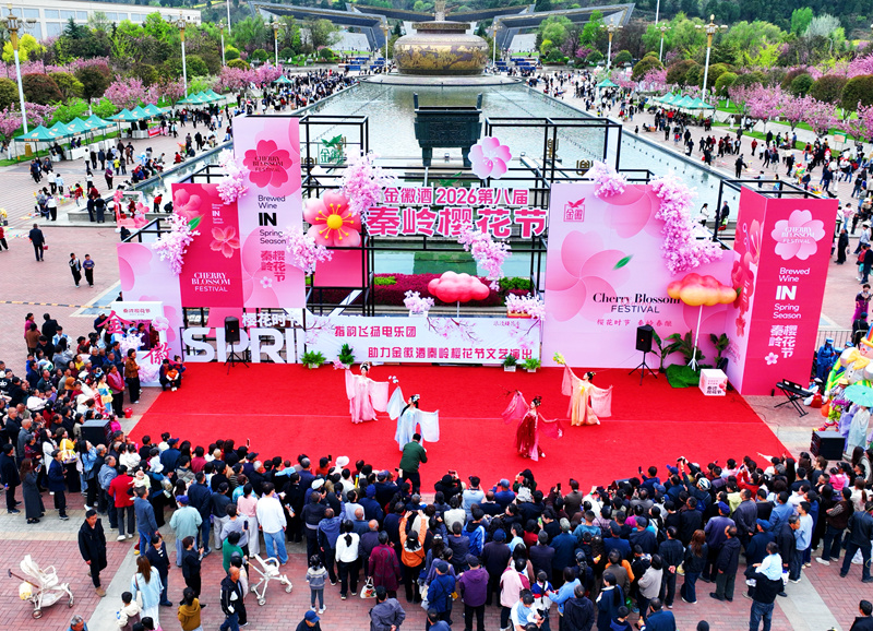 秦嶺櫻花節(jié)廣場的演出。主辦方供圖